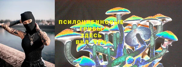 jwh Ладушкин