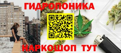 прущий лед Будённовск