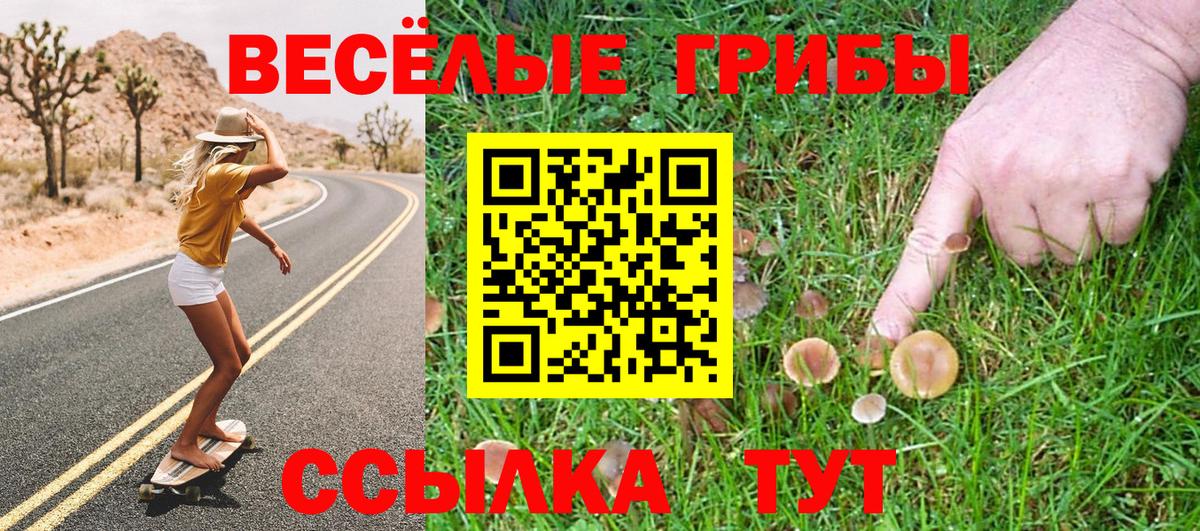 Галлюциногенные грибы Psilocybine cubensis  Вход с VPN  Химки 