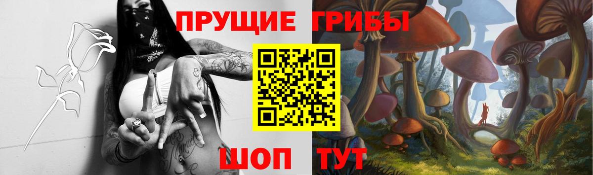 Псилоцибиновые грибы мицелий Химки